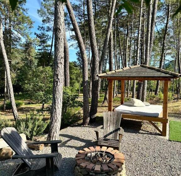 بنسيون Natur O Lodge Piscine