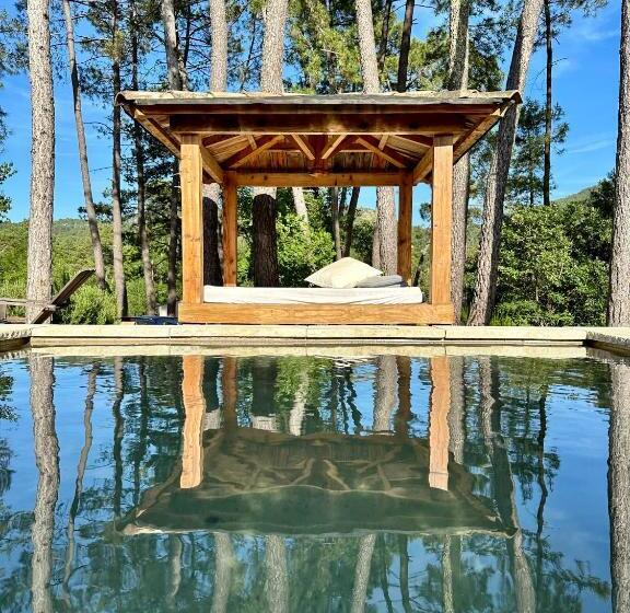 بنسيون Natur O Lodge Piscine