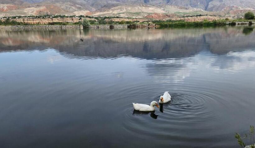 پانسیون Sim Sim Hostel