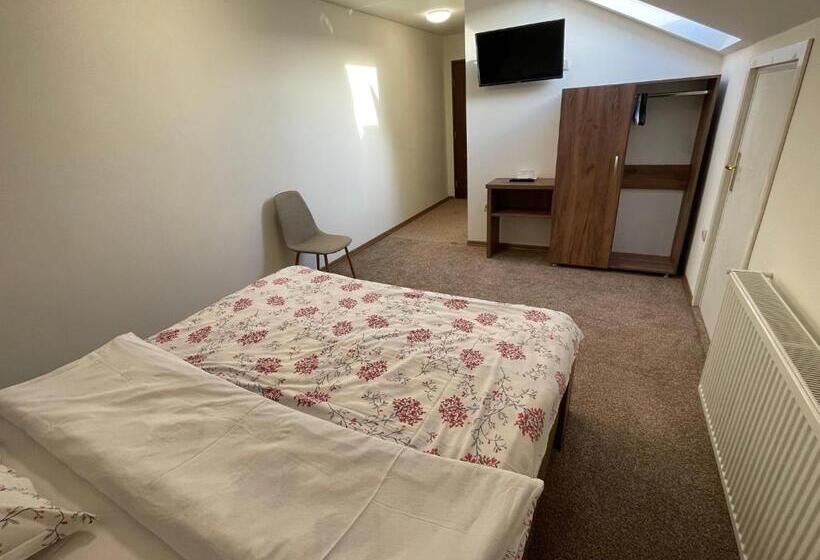 펜션 Vila Niculina