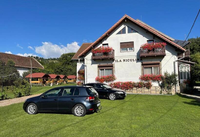 펜션 Vila Niculina