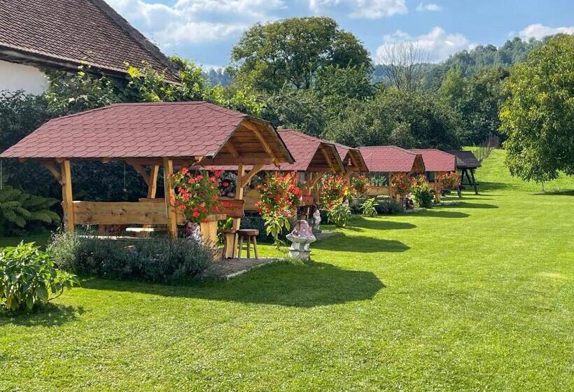 펜션 Vila Niculina