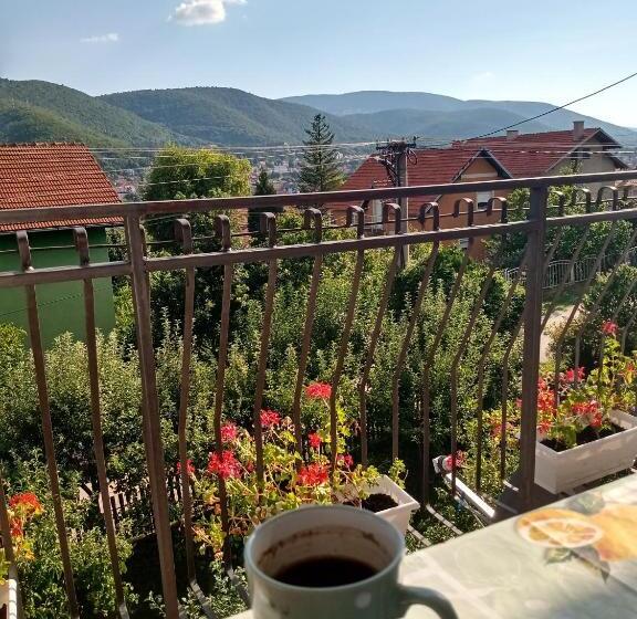 پانسیون Vila Premier Sokobanja