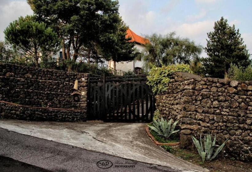 بنسيون Villa Joele