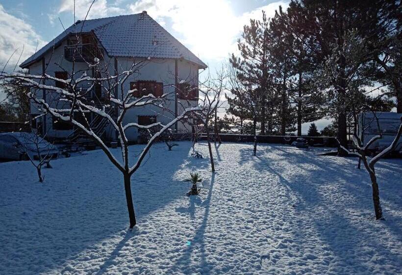 بنسيون Villa Joele