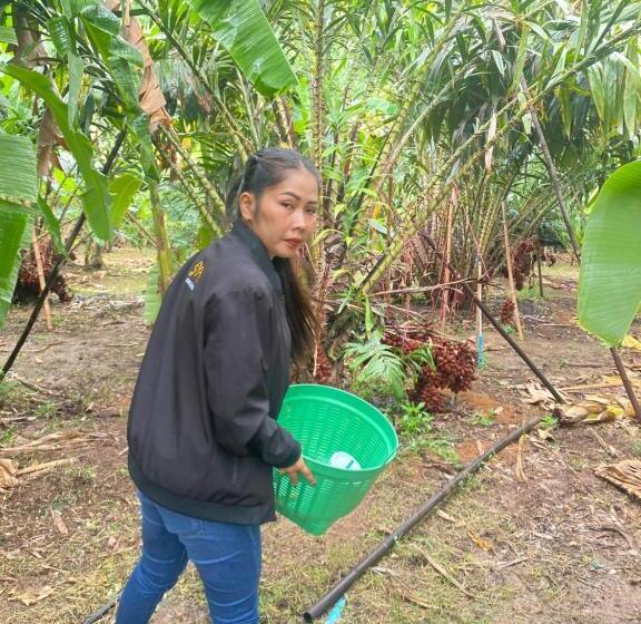 Kurort  เอเจ รีสอร์ท