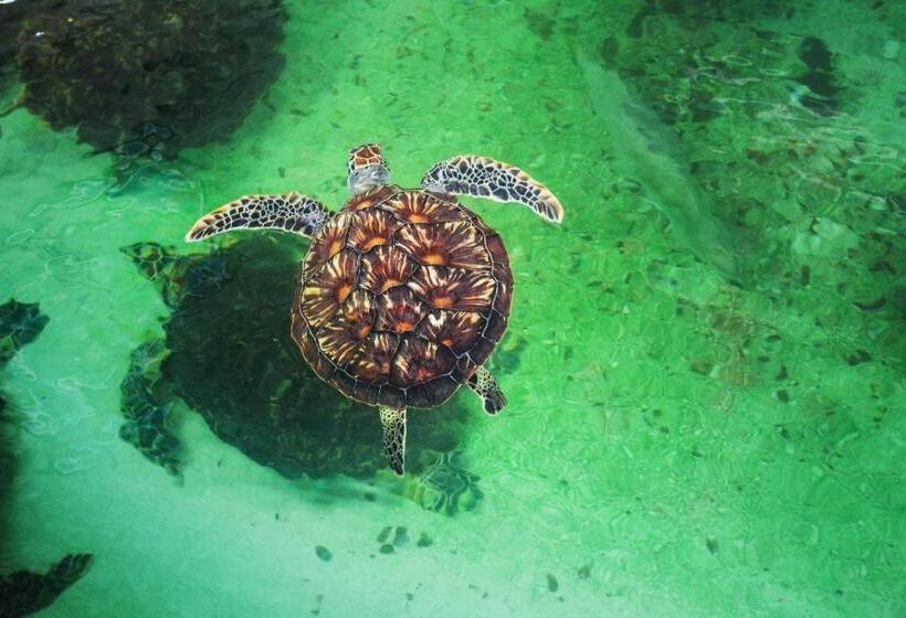 استراحتگاه Diamond Bay Golf And Villas