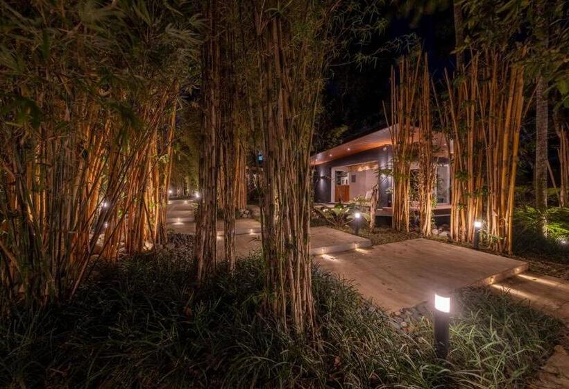 Vijaya Cabin   Ezra Viniti Resort