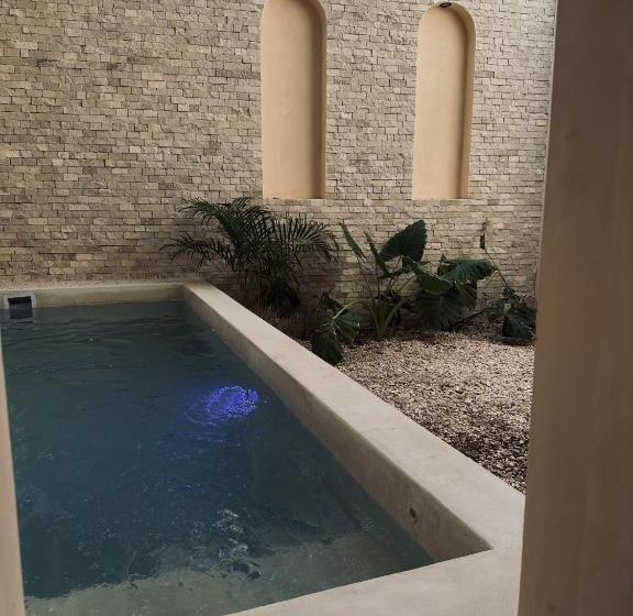 Apartments Suites Tierra Tulum   Pool & Roof Panoramic