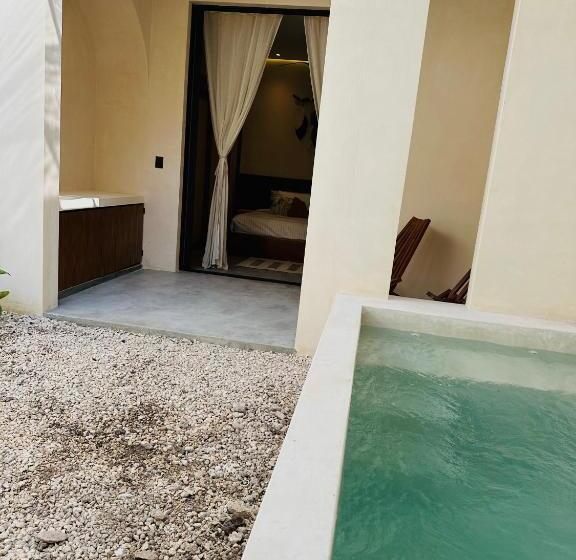 Apartments Suites Tierra Tulum   Pool & Roof Panoramic