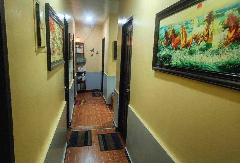 هاستل Sevenne Inn Transient House