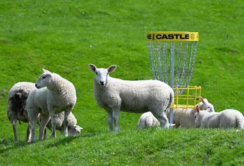 ユースホステル The Stables