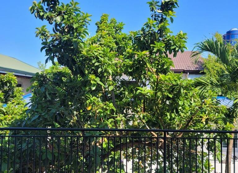 هاستل Tulomir #f 뚤로미르 행복한 2인실