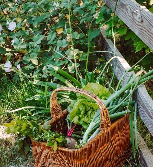 ベッドアンドブレックファースト Casa Alenti   Maison D Hôtes