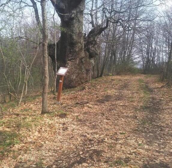 צימר Agribnb Casa Furnaredda