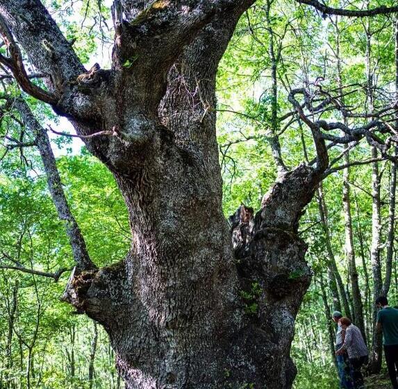 צימר Agribnb Casa Furnaredda