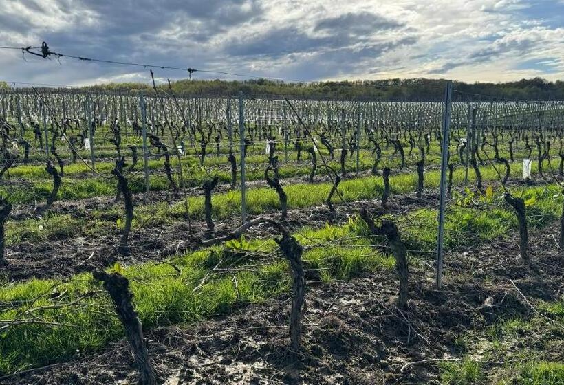 민박 Chambre D Hôte Dans Le Château De Mauhic