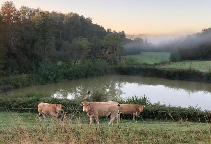 민박 Chambre D Hôte Dans Le Château De Mauhic