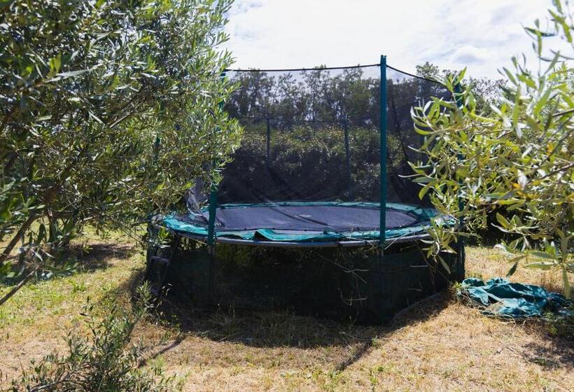 צימר Chambre Voile De Soie   Homestay   Chez Manon En Luberon