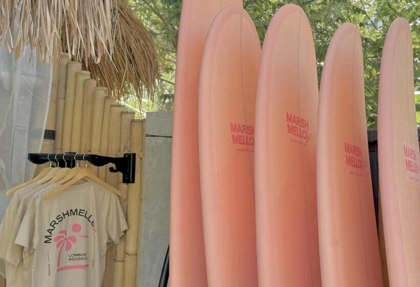 مبيت وإفطار Marshmellow Surf & Wellness Camp Lombok