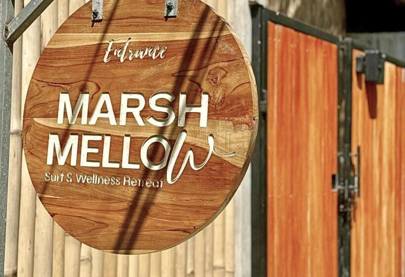 مبيت وإفطار Marshmellow Surf & Wellness Camp Lombok