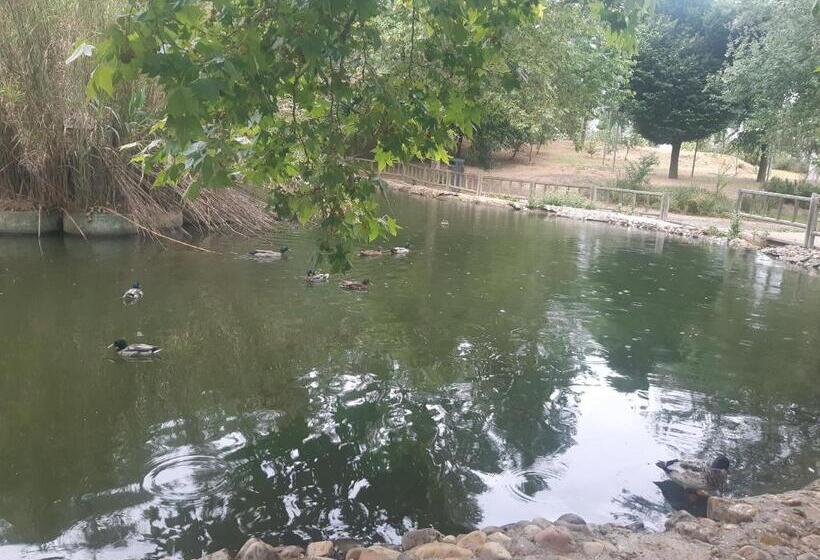 تختخواب و صبحانه Humanes