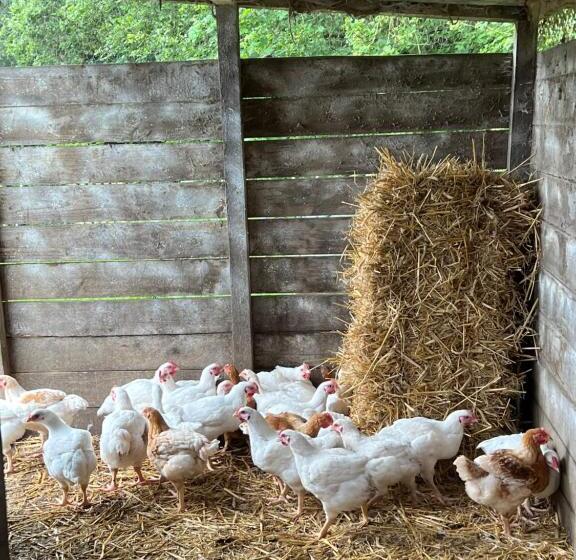 צימר Stay With Robin