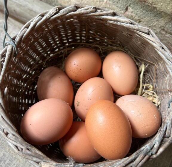 צימר Stay With Robin