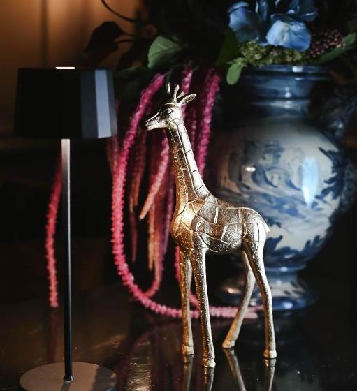 مبيت وإفطار Teresa B&d   The Unconventional House