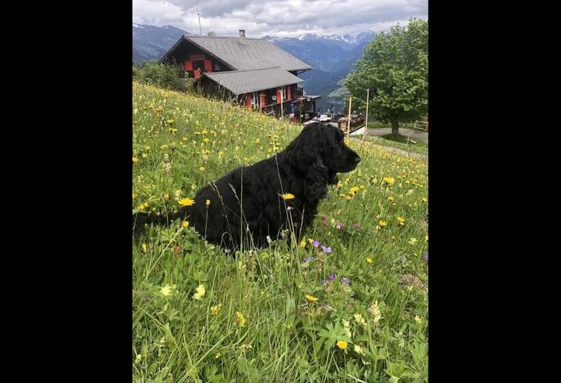 Bergpension Battagliahütte