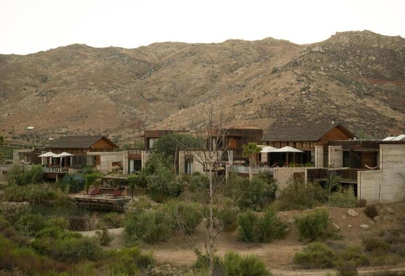 ホテル Bruma Wine Resort