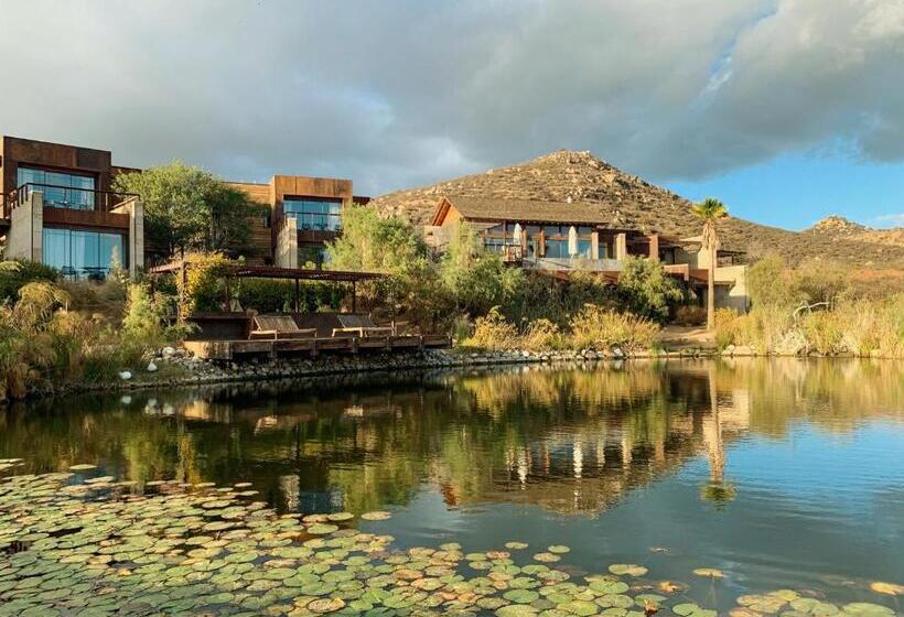 ホテル Bruma Wine Resort