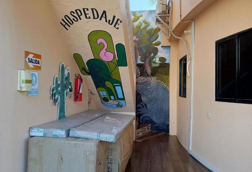 هتل Hostal Los Cactus