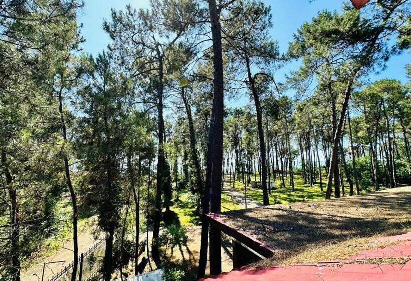 هتل Karakum Villa