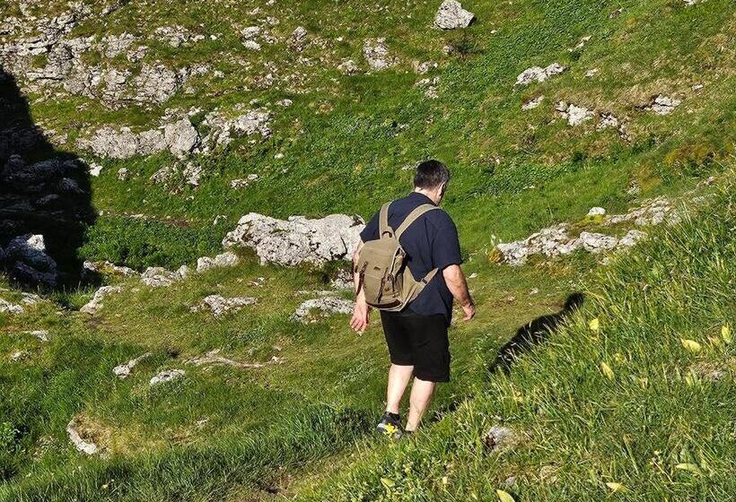 Отель Picasso Chambre Privée Le Refuge Du Phoenix