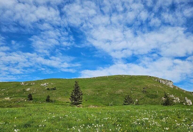 Отель Picasso Chambre Privée Le Refuge Du Phoenix