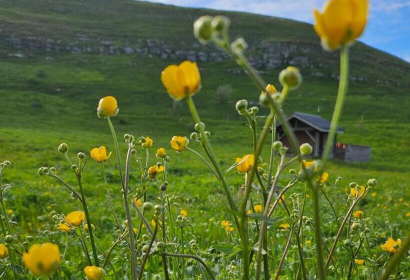 Отель Picasso Chambre Privée Le Refuge Du Phoenix