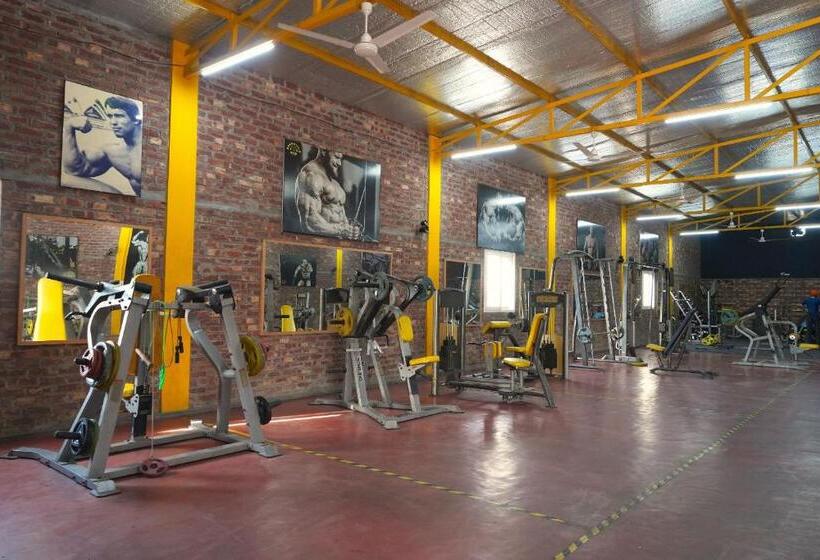 酒店 Rustic Roots Farm Stay