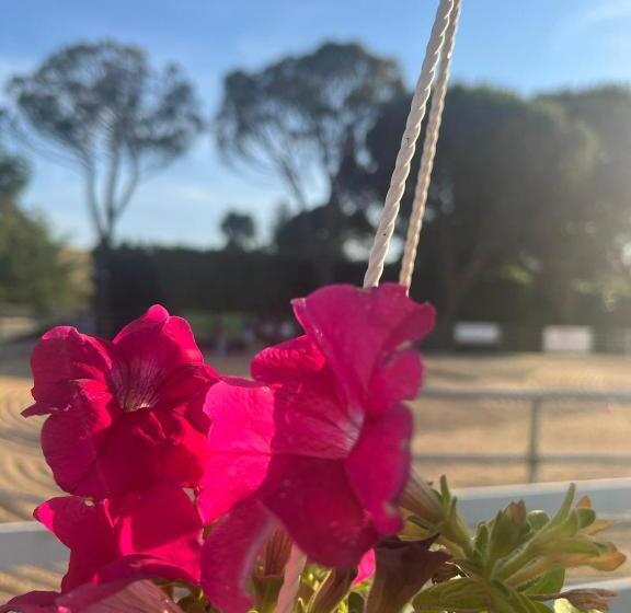 فندق Scuderie Vgb Camere