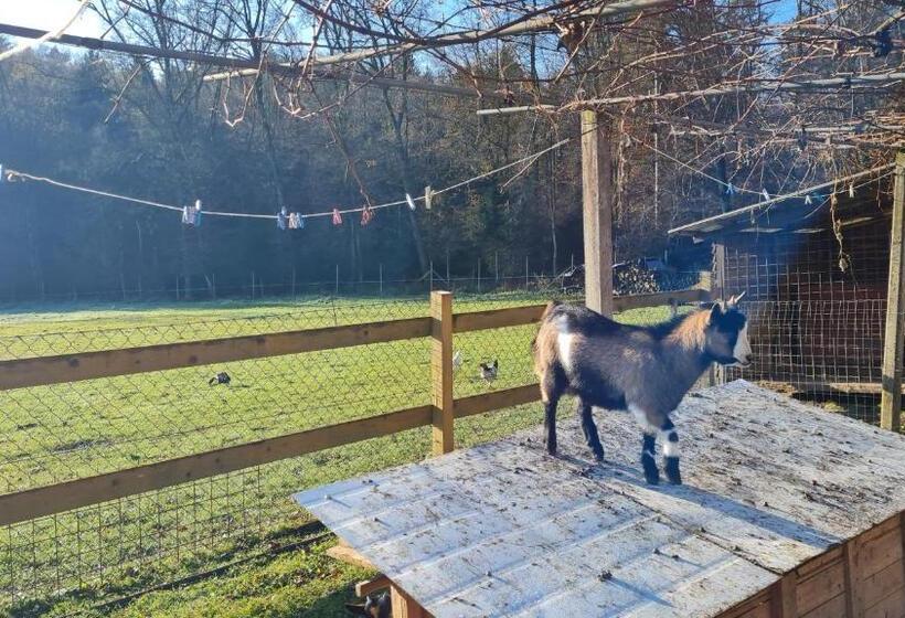 هتل Soba Tete Tile