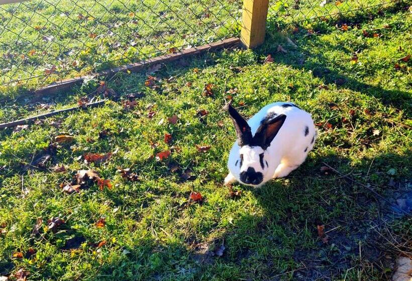 هتل Soba Tete Tile