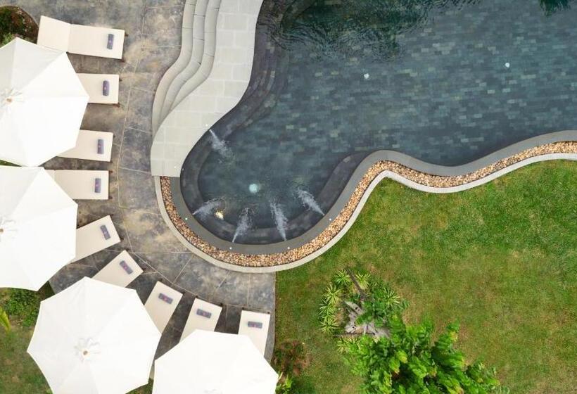 בית מלון כפרי The Jungle