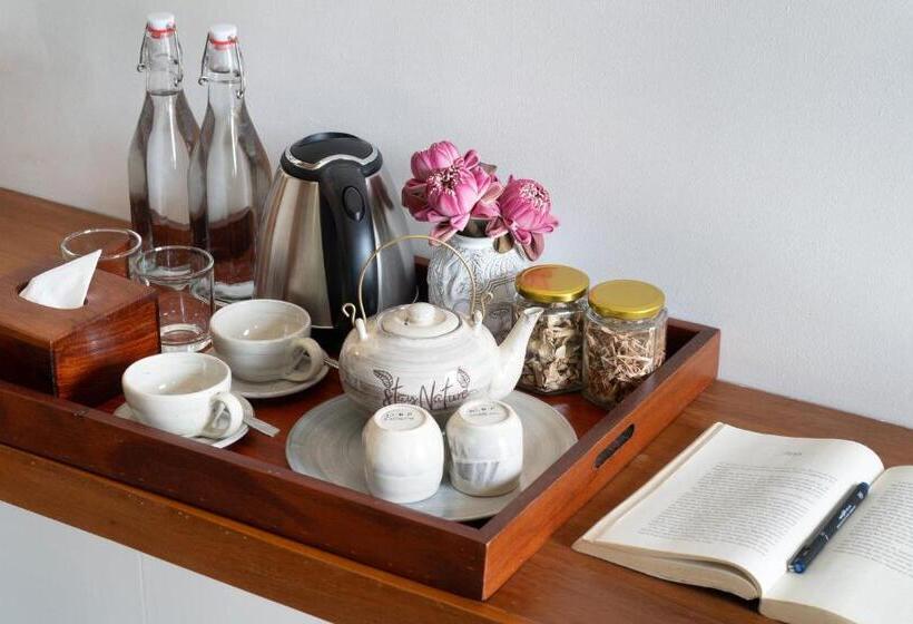 בית מלון כפרי The Jungle