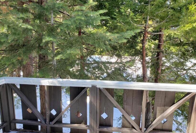 בית מלון כפרי The Treetop Terrace At The Historic Arrowhead Lodge