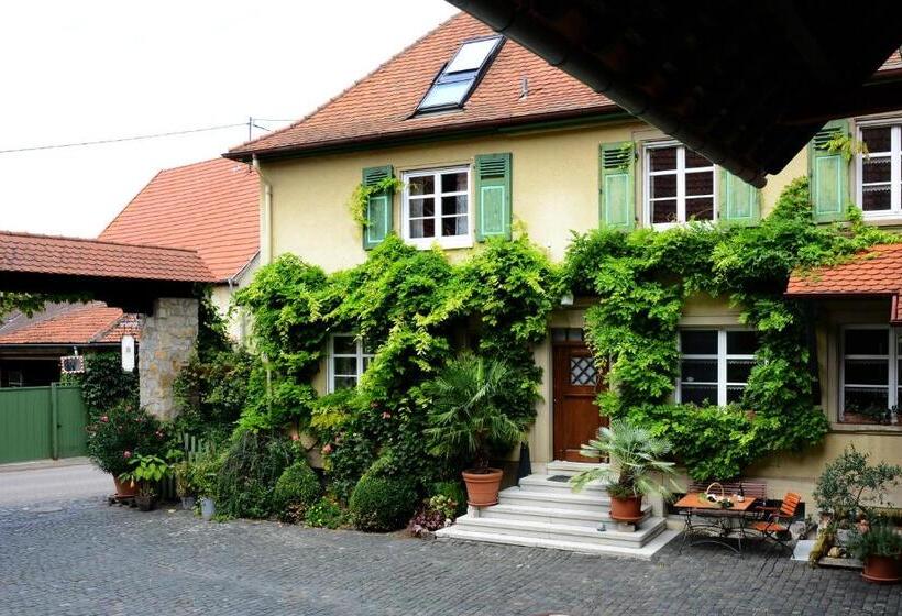 فندق Weingut Jung