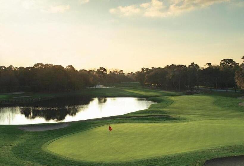 Innisbrook, A Salamander Golf & Spa Resort