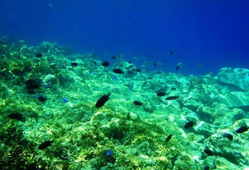 Panglao Kalikasan Dive Resort