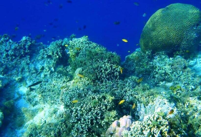 Panglao Kalikasan Dive Resort