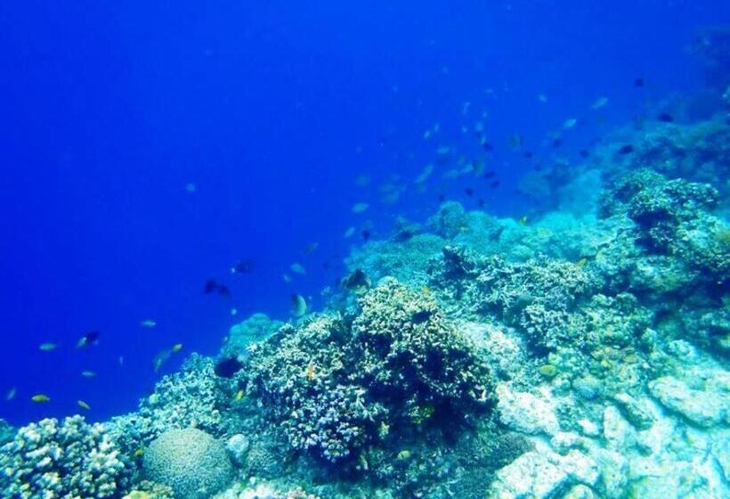 Panglao Kalikasan Dive Resort