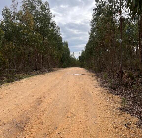 بنسيون A Casinha